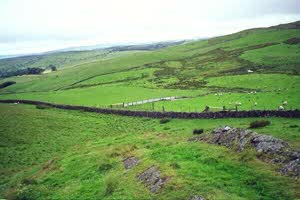 [View from Firbank Fell